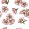 Vector seamless pattern with blooming almond