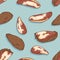 Vector Seamless Pattern of Brazilian Nuts