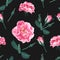 Vector seamless pattern with briar. Wild pink roses, rosa canina dog rose garden flowers.