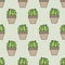 Vector seamless pattern with cactuses in pots on light green background.