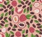Vector seamless pattern chinese lychee fruit. Chinese plum, tropical fruit. Exotic product fruit, leaves, bones of lychee.