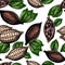 Vector seamless pattern of cocoa beans and leaves. Hand drawn colored engraved art.