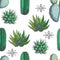 Vector seamless pattern with color houseplants and aztec ornament. Vintage illustration with cactus and succulents in engraving s