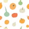 Vector seamless pattern with colorful squashes and gourds on white.