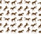 Vector seamless pattern of different horse