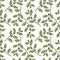 vector seamless pattern with drawing alder buckthorn