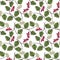 vector seamless pattern with drawing hawthorn
