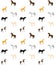 Vector seamless pattern of flat cartoon horses if different colors on white background