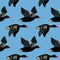 Vector seamless pattern with flying black ducks