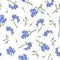 Vector seamless pattern with forget me not flowers. Spring or summer design.