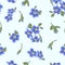 Vector seamless pattern with forget me not flowers. Spring or summer design.