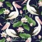 Vector seamless pattern with graceful pelicans.