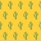 Vector seamless pattern with green mexican cactus