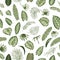 Vector seamless pattern of green tropical leaves on white background.