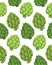 Vector seamless pattern with hand drawn artichokes on white background. Backdrop with cabbage. Texture with cartoon healthy
