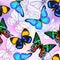 Vector seamless pattern, Hand drawn background with butterflies