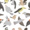 Vector seamless pattern of hand drawn flat funny woodland birds. Cute repeat background with Owl, Cuckoo, Raven, Woodpecker, Wren