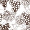 Vector seamless pattern with hand drawn grapes. Hand drawn illustration. Engraved fruit background. Vintage design.