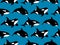 Vector seamless pattern of hand drawn killer whale swimming on blue background. Water texture with orca