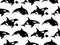 Vector seamless pattern of hand drawn killer whale swimming on white background. Jamb of Orca