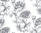 Vector seamless pattern with hand drawn rose flowers and leaves on white.