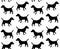 Vector seamless pattern of Jack Russell Terrier