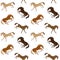 Vector seamless pattern of kicking horse