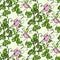 Vector seamless pattern with lathyrus flower