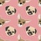 vector seamless pattern with muzzles of cute dogs - pugs and chukhahua on a pink background