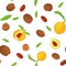 Vector seamless pattern Nutmeg spice fruit. White background with nuts in the shell, whole, shelled, leaves appetizing