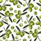 Vector seamless pattern of olive. Hand drawn colored engraved art.