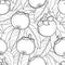 Vector seamless pattern with outline Mangosteen or Garcinia mangosteen fruit and leaf on the white background. Fruit pattern.