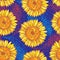 Vector seamless pattern with outline open Sunflower or Helianthus flower in yellow and orange on the blue background.
