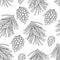 Vector seamless pattern with outline Scots pine or Pinus sylvestris. Pine and cones in black on the white background.