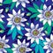 Vector seamless pattern with outline tropical Passiflora or Passion flowers in blue and white, bud and leaves on the blue.