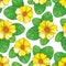 Vector seamless pattern with outline yellow Primula or Primrose flower and green leaves on the white background.