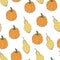 Vector seamless pattern with pimpled orange and yellow gourds.