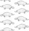 Vector seamless pattern of Platypus duckbill