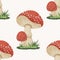 Vector Seamless Pattern with Poisonous Inedible Mushroom. Hand Drawn Cartoon Red Fly Agaric Mushroom Isolated on White