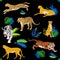 Vector seamless pattern with predatory wild cats, tigers, leopards, cheetahs.