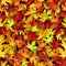 Vector seamless pattern with red and yellow autumn leaves