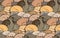Vector seamless pattern with sleeping cats