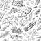 Vector seamless pattern of spices and herbs. Hand drawn elements on background in black and white.