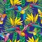 Vector seamless pattern with Strelitzia reginae and colorful flying Hummingbird or Colibri in contour style on the blue background