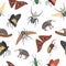 Vector seamless pattern of tropical insects