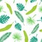 Vector seamless pattern of tropical leaves