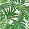 Vector seamless pattern of tropical palm leaves. beautiful fol