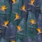 Vector seamless pattern with tropical strelitzia flowers.