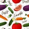 Vector seamless pattern with vegetables. Cucumber and carrot and tomato and eggplant background. Hand drawn elements