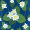 vector Seamless pattern of white lotus